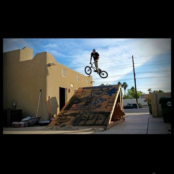 Meet your Posher, Tommy - Picture 1 of 1